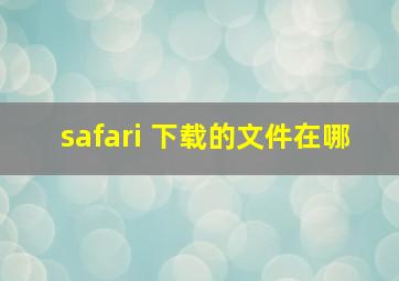 safari 下载的文件在哪